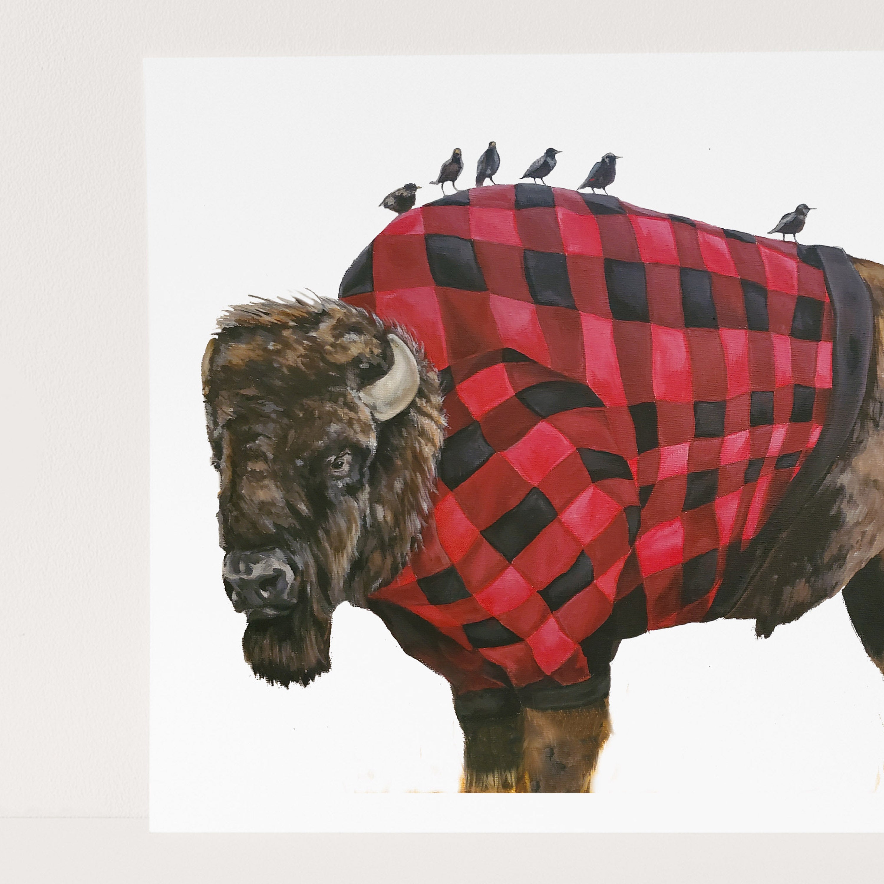 BILL wearing Buffalo Plaid Cards and Prints