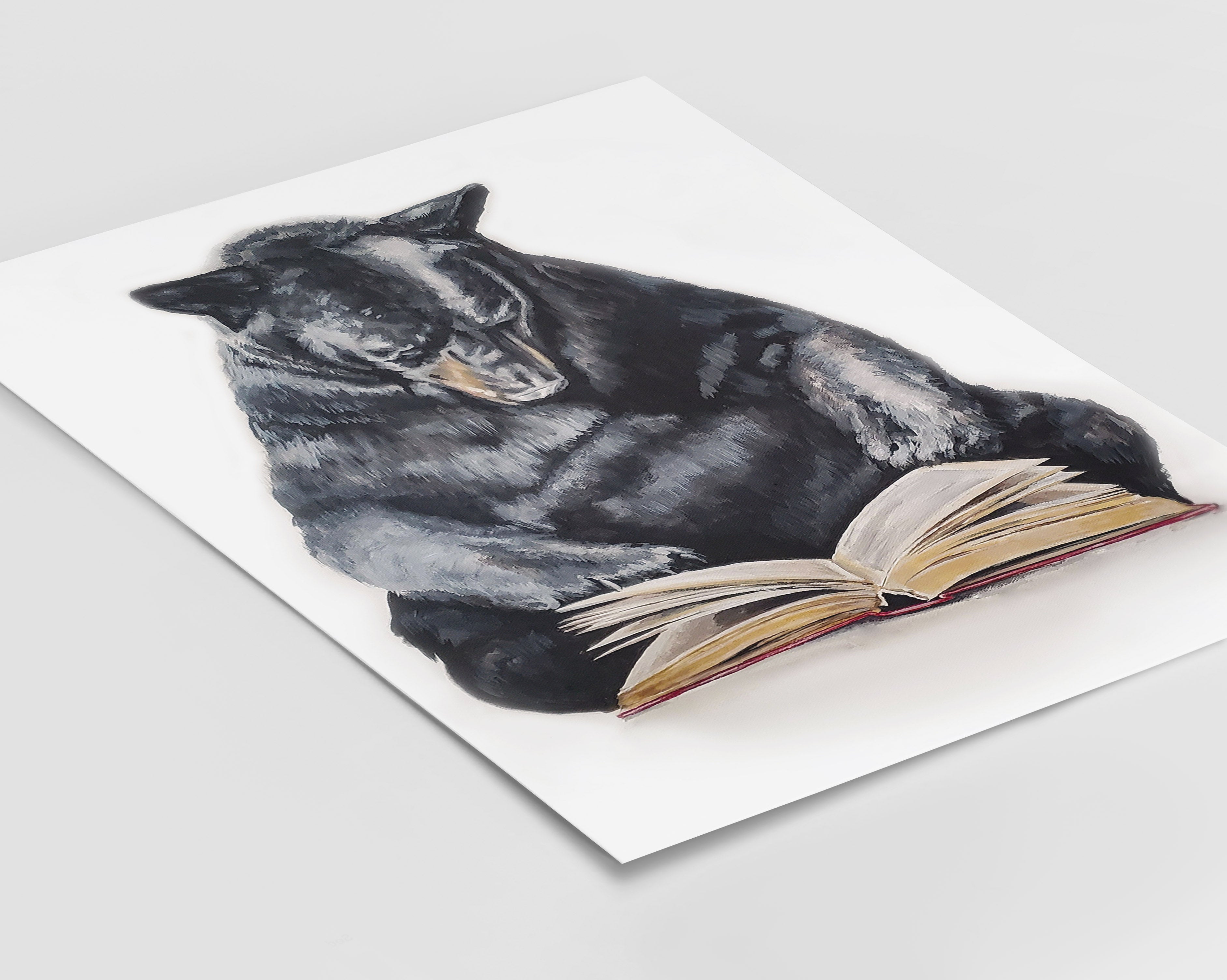 BLACK BEAR IS READING Cards and Prints